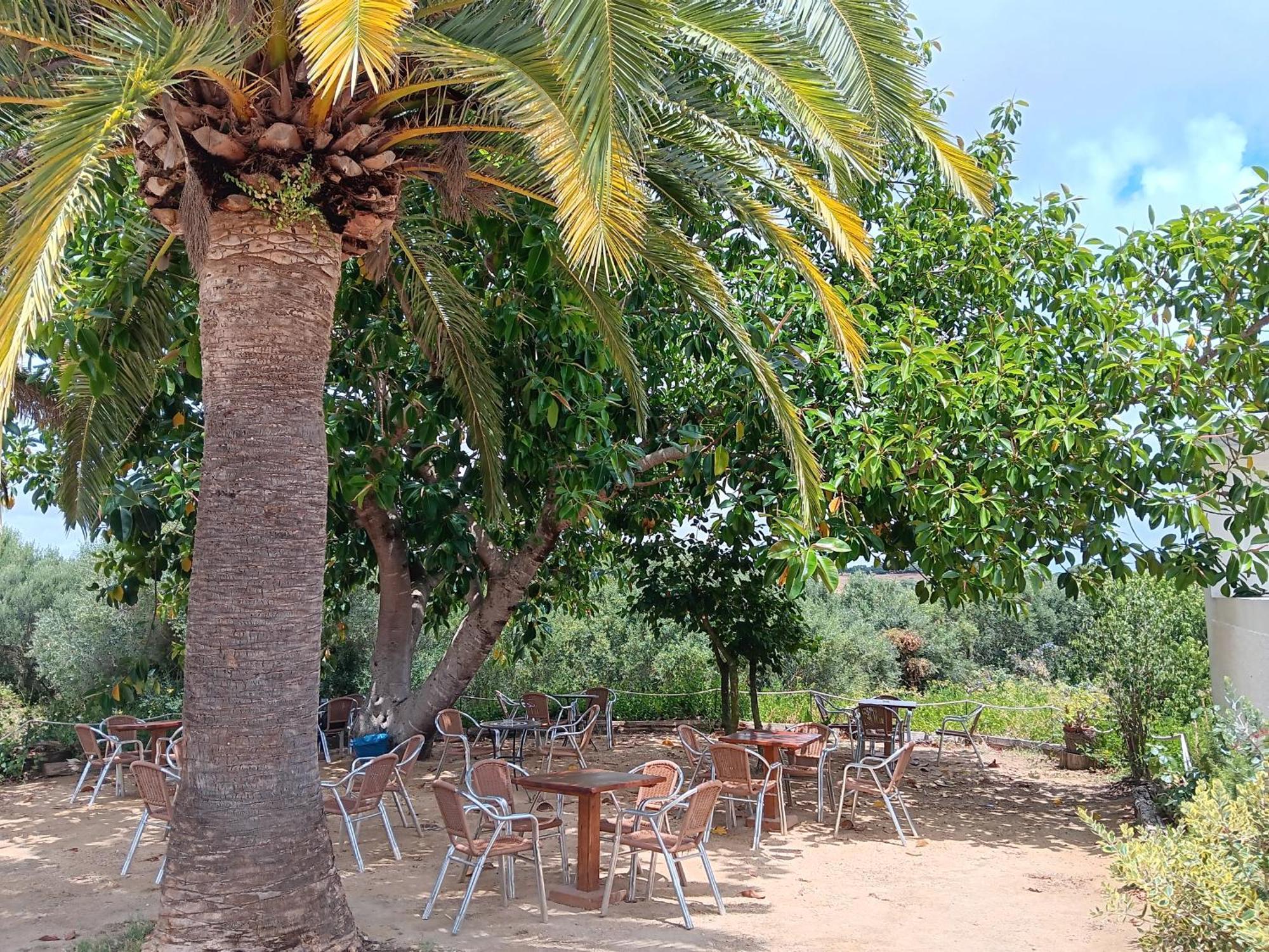 Hotel El Palomar De La Brena Barbate Zewnętrze zdjęcie